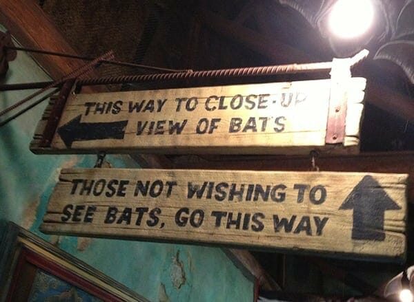 7 Magical Marketing Lessons From Disney World: Give Idiot Proof Directions