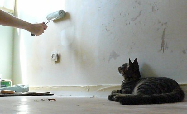 Watching Paint Dry 1 The HSBC Story: Watching Paint Dry