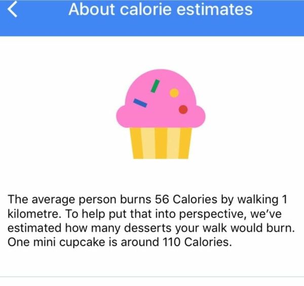 87-google-calorie-counter