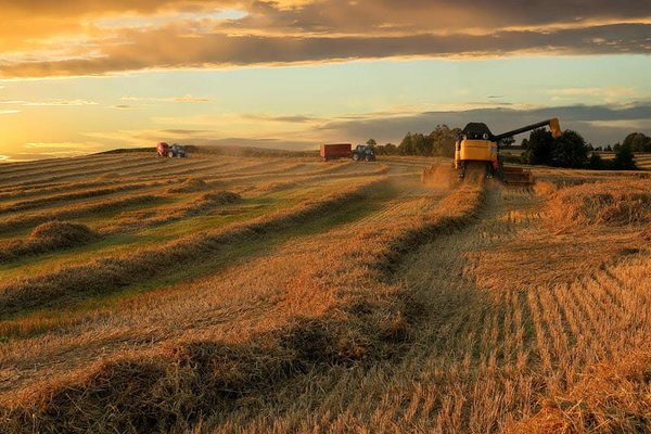 Problemshifting and the Myth of Food Shortages