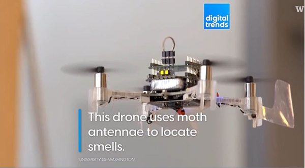 The Smellicopter drone fitted with a live moth antenna