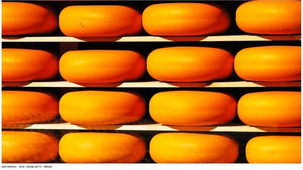 Cheese Isn’t Actually Bad For You