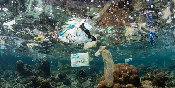 Why Trying to Clean Up All the Ocean Plastic Is Pointless