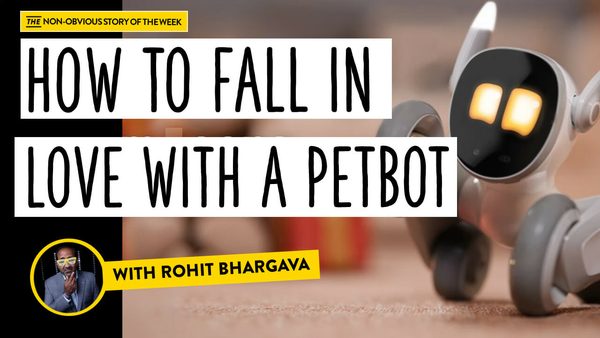 The Danger of Falling In Love With a "Petbot"