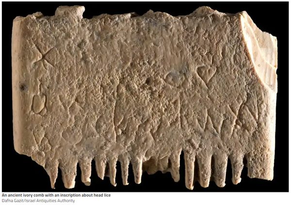 Ancient ivory comb with an inscription about lice