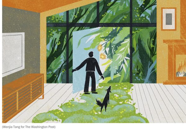 How To Bring Nature Indoors To Improve Your Health