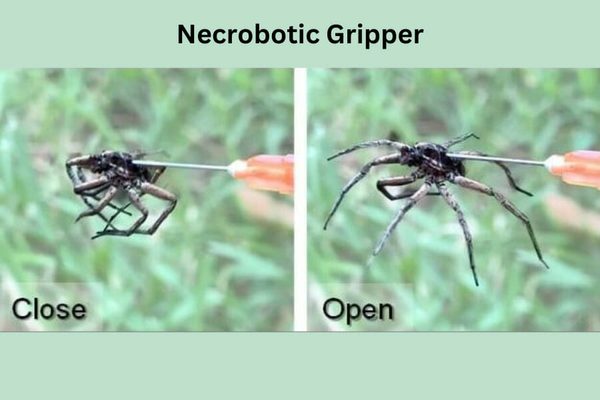 Necrobotic Gripper 900x600