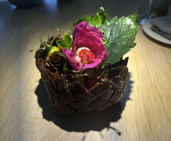 Who Deserves To Eat At Noma?