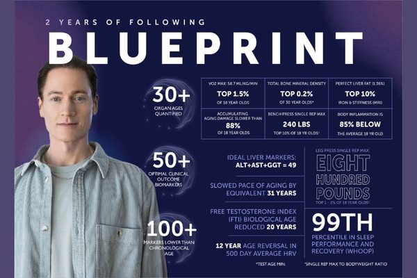 Blueprint 900x600