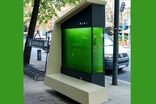 How the Liquid Tree Might Be a Game-Changer for Urban Air Pollution