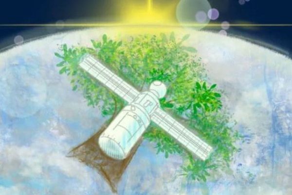 The Next Magical Space Material Might Be … Wood