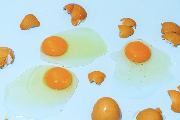 Why Your Eggshells Might Be Cracking More (And What It Can Teach You)
