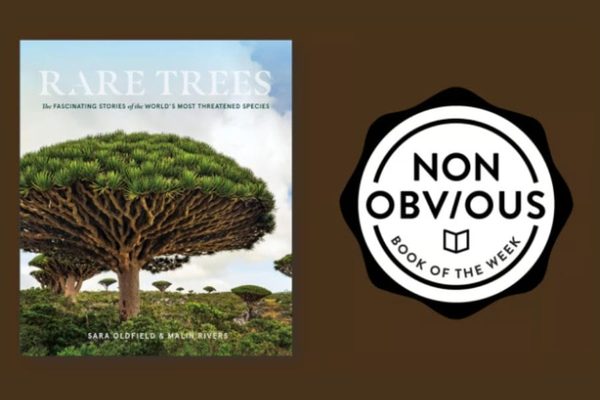 Rare trees 900x600