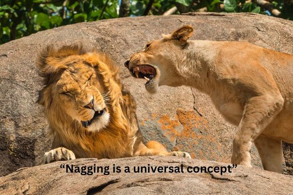 What Funny Wildlife Photos Can Teach Us About Life