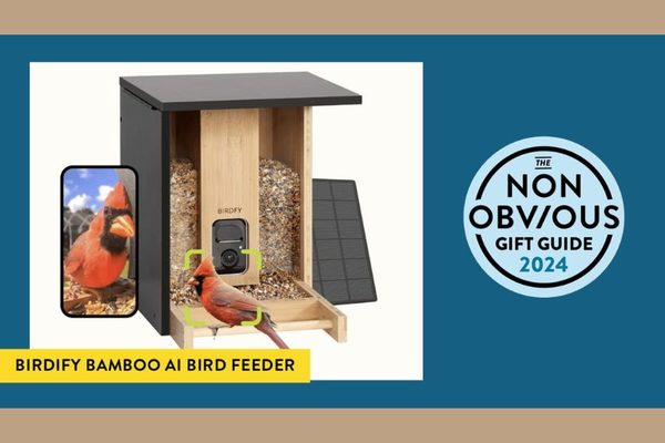 The Non-Obvious 2024 Holiday Gift Guide: Ideas 7-9