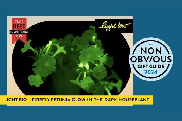The Non-Obvious 2024 Holiday Gift Guide: Ideas 1 - 3
