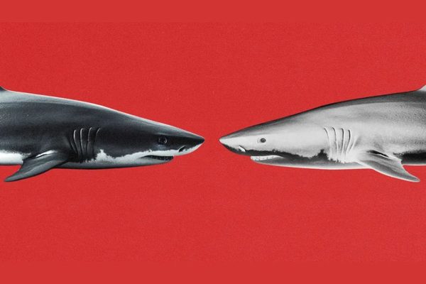 4 Non-Obvious Upsides of the Big Omnicom + IPG Acquisition: Omnicon Interpublic