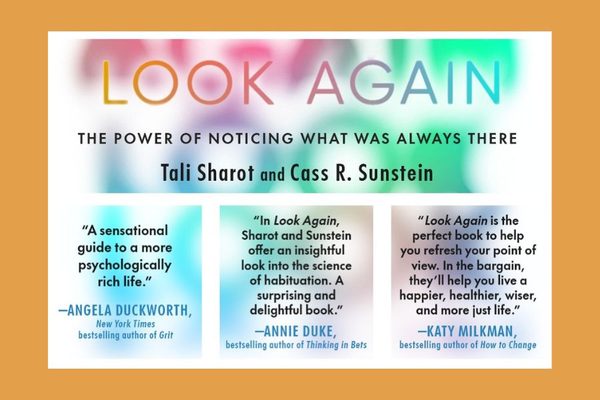 The Non-Obvious Book of the Week: NOBW Look Again