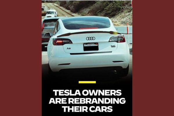 The Tesla Resistance Is Real. Here’s What It Means …