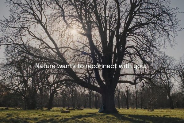 The Talking Tree and How AI Can Give a Voice to the Voiceless: The Talking Tree