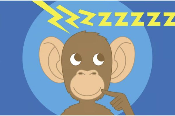 Artificial Naps, Precognitive Dreams and the Evolving Science of Sleep