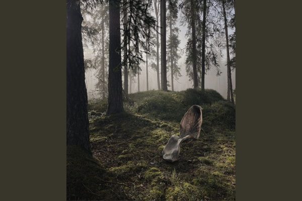 The Swedish Perfume That You Pay for with Your Time in Nature: Swedish perfume Koyia