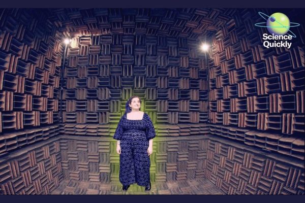 The Room Where You Can Hear Your Own Nervous System