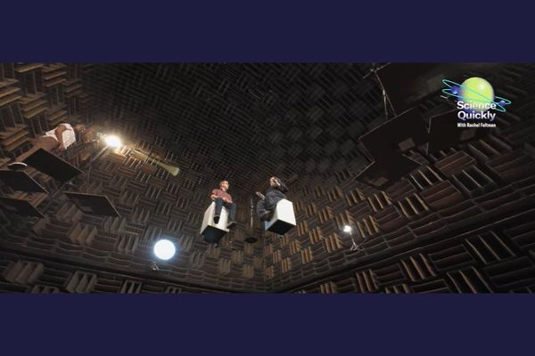 The Room Where You Can Hear Your Own Nervous System: Anechoic chamber