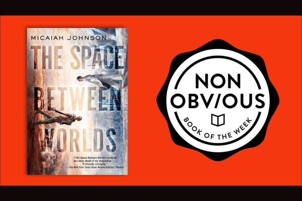 The Non-Obvious Book of the Week: The Space Between Worlds by Micaiah Johnson