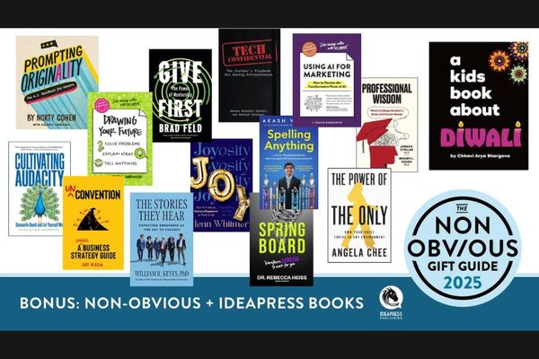 The 2025 Non-Obvious Holiday Gift Guide: IDP books