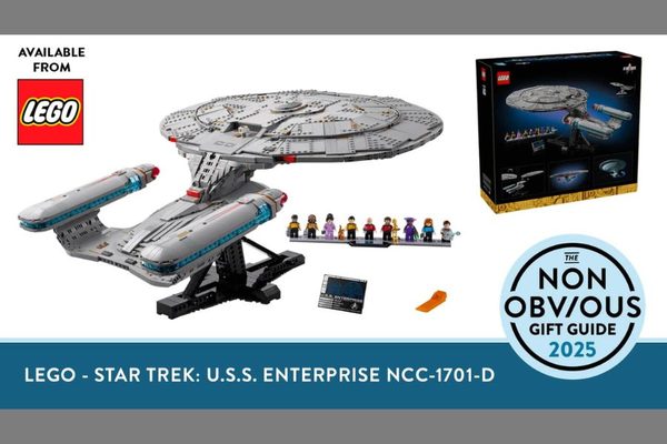 The 2025 Non-Obvious Holiday Gift Guide: Star Trek Legos