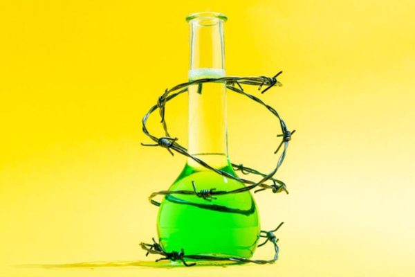 Saving Science in the Age of the Modern Believability Crisis