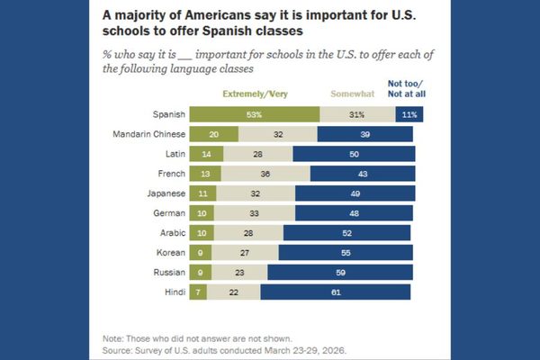 The Foreign Language Learning Problem in Schools