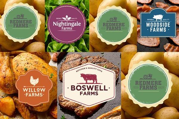 Fake Farms, Virtual Reality Tacos, Rise of Bootcamps and Why Apple Stopped Innovating
