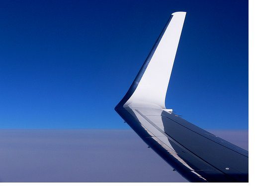 The Wingtip Vortex