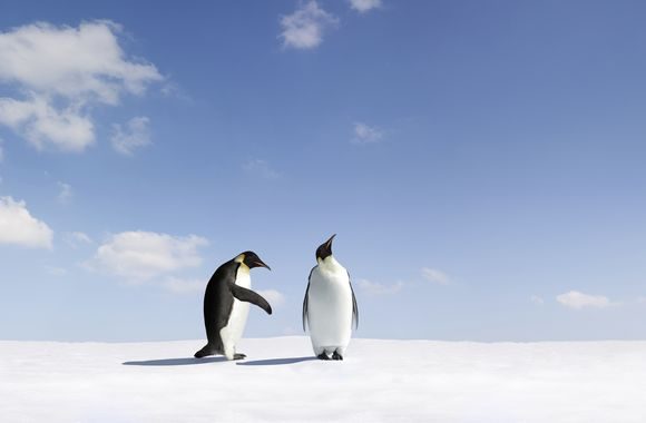 IStock_000009836402XXLarge