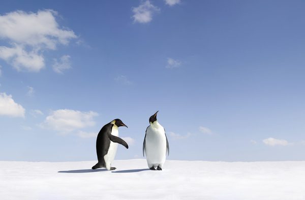 Why Your Customers Will Never Be Your "Friends" Online