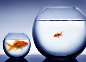 3 Ways To Fight The Small Business Inferiority Complex