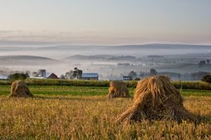 What The Amish Paradox Can Teach You About Marketing