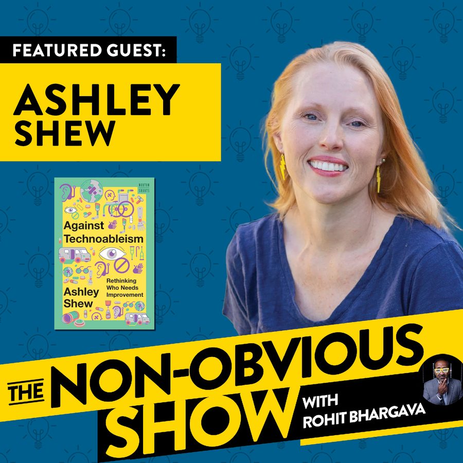 What You Don't Know About Disability - Ashley Shew cover art